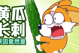 黄瓜为啥要长这么多刺？