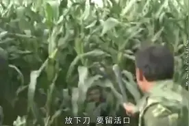 08年反恐真实影像，暴徒砍杀百姓和民警，特战队员当场击毙！视频封面