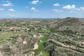 现在的黄土高原已经不再是一片荒凉了，带大家看绿意盎然的陕北