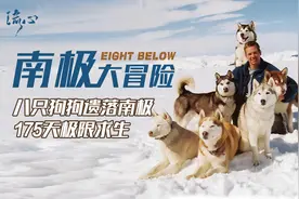 八只狗狗遗落南极，175天极限求生！视频封面