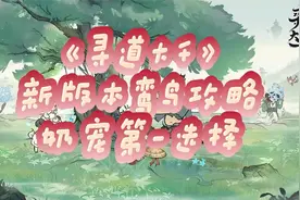 《寻道大千》新版本鸾鸟攻略，奶宠第一选择！视频封面