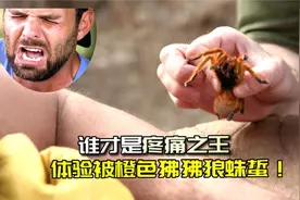 为了寻找世界上咬人最疼的动物，两人接连被几十种恐怖生物蜇咬！视频封面