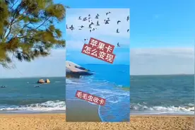 苹果卡怎么变现视频封面