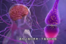 《探索人体的奥秘》视频封面