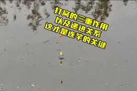 原来打窝并不简单，三重作用相辅相成，好好把握时机连竿不是问题视频封面