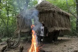 流浪汉带四只流浪狗无家可归，只能在荒山野岭，搭建一个巨型鸟笼视频封面