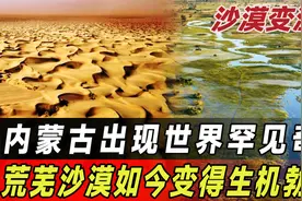 又一沙漠奇迹，死亡沙漠变成生态湿地，国际记者见到直呼不可能！视频封面