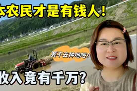 日本农民有多赚钱？年收入竟有千万，小马：要不跟日本公公种地？视频封面