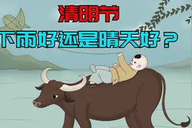 4月4日清明节！下雨好还是晴天好？老祖宗留下的俗语有预兆！视频封面