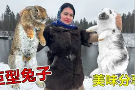 俄罗斯美女抓住两只巨型兔子，要将它们做成碳烤兔肉，太香了！视频封面