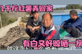 几千斤红薯淀粉弄回家，有白又好晾晒一房，大妮高兴细算账真不错视频封面