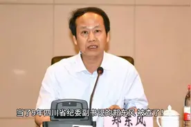 当了9年四川省纪委副书记的他，被查！曾任省预防腐败局副局长视频封面