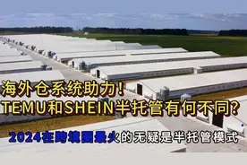 海外仓系统助力，temu和shein半托管有何不同？