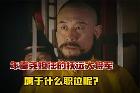 年羹尧被雍正任命的抚远大将军在清朝是何级别?有多大权力地位?视频封面