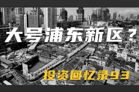 投资回忆录93——谁是大号的浦东新区？视频封面
