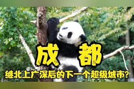 成都-人口规模超两千万，能否成继北上广深后的下一个超级城市！视频封面