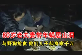 80岁老夫妻常年蜗居山洞，与野狗抢食，他们的儿子却身家千万视频封面