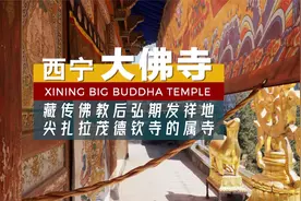 西宁 大佛寺视频封面