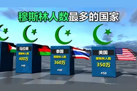 世界上穆斯林人数最多的国家排名对比视频封面