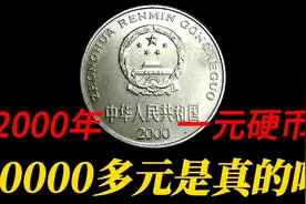 2000年一元硬币，价值10000多元是真的吗视频封面