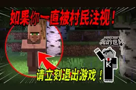 我的世界：如果你发现自己总被村民注视着，请立刻退出游戏！