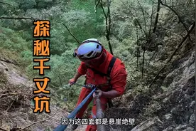 天坑底部发现原始森林，里面遍地金丝楠木，奇花异草，古人遗迹视频封面