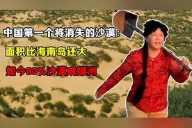 中国第一个将消失的沙漠：面积比海南岛还大，如今80%沙漠成绿洲
