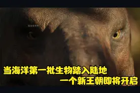 当第一批生物从大海踏入陆地，那么一个崭新的王朝就要开始了