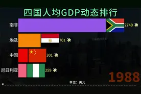 非洲发展如何？看中国与非洲三强国人均实力比较，差距大吗？视频封面