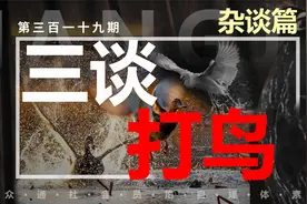 打鸟到底算不算摄影？感谢摄友的批评视频封面