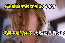 玻璃窗中的女孩：夫妻本是同林鸟，大难临头我先飞视频封面