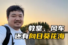 杭州湾海上花田景区:这里曾是一片滩涂,围海造田如今成向日葵花海视频封面
