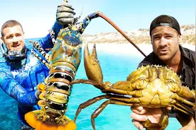 国外土豪杰克赶海，太平洋小岛抓青蟹椰子蟹，深水里捉锦绣龙虾