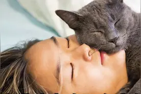 为啥猫咪总是喜欢趴在人的头上？