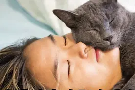 为啥猫咪总是喜欢趴在人的头上？