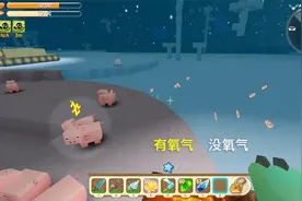 迷你世界：小猪能在月球上生存下来吗？答案取决于氧气，有就能活视频封面