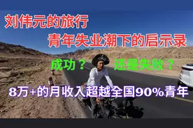 刘伟元的旅行失业潮下的启示 8万+月收入超越90%青年 成功失败？