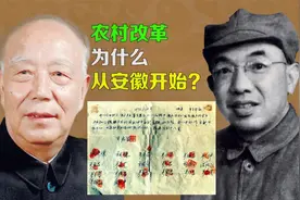逯子说，包产到户为何从安徽开始？农村改革为什么从安徽开始？视频封面