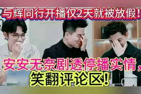 与辉同行开播仅2天就被放假？安安无奈剧透停播实情，笑翻评论区视频封面