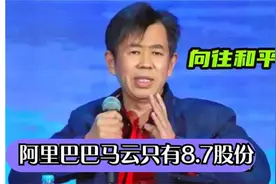 . 鹰派代表戴旭：阿里巴巴是日本和美国的公司，全国都在给他打工