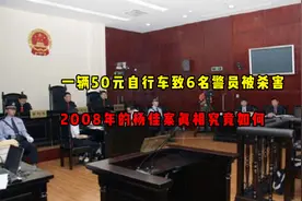 一辆50元自行车致6名警员被杀害，2008年的杨佳案，真相究竟如何视频封面