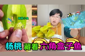 杨桃里长了“绿虫子”？把它拿出来一看，竟然是一只迷你杨桃小鱼视频封面