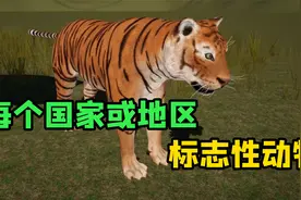 不同国家或地区的标志性动物视频封面