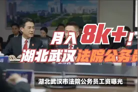 湖北武汉市法院公务员工资曝光，每月8000多！视频封面