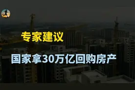 专家：国家拿出30万亿回购房产，盘活行业且促进资金流动？视频封面