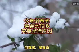 今年倒春寒比较多，究竟是啥原因，看看农谚怎么说视频封面