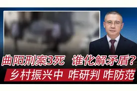 河北曲阳刑案，3死：乡村振兴中，谁化解矛盾，咋研判，如何应对视频封面