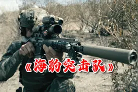 海豹突击队队长B1差点丢了命，副队长B2成了人质，三集连播爽翻天视频封面