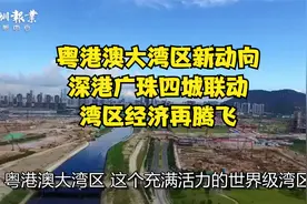 粤港澳大湾区新动向：深港广珠四城联动，湾区经济再腾飞视频封面