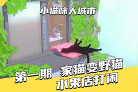 小猫咪大城市-01-家猫变野猫，水果店打闹（全收集全成就流程）